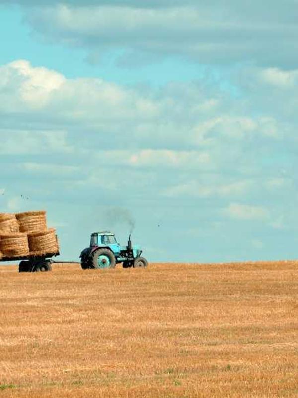 趣陪星球APP展示